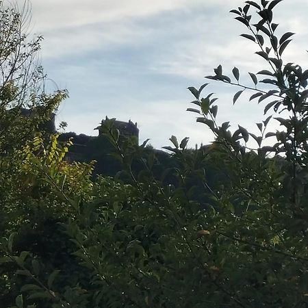 Maison Charmante A Saint-Satur Avec Jardin Et Terrasse Eksteriør bilde